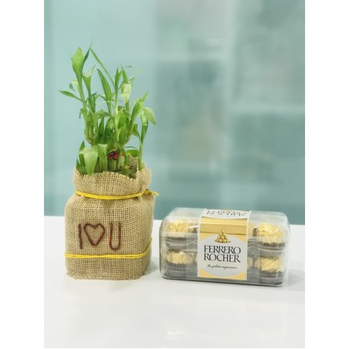 Ferrero Bamboo